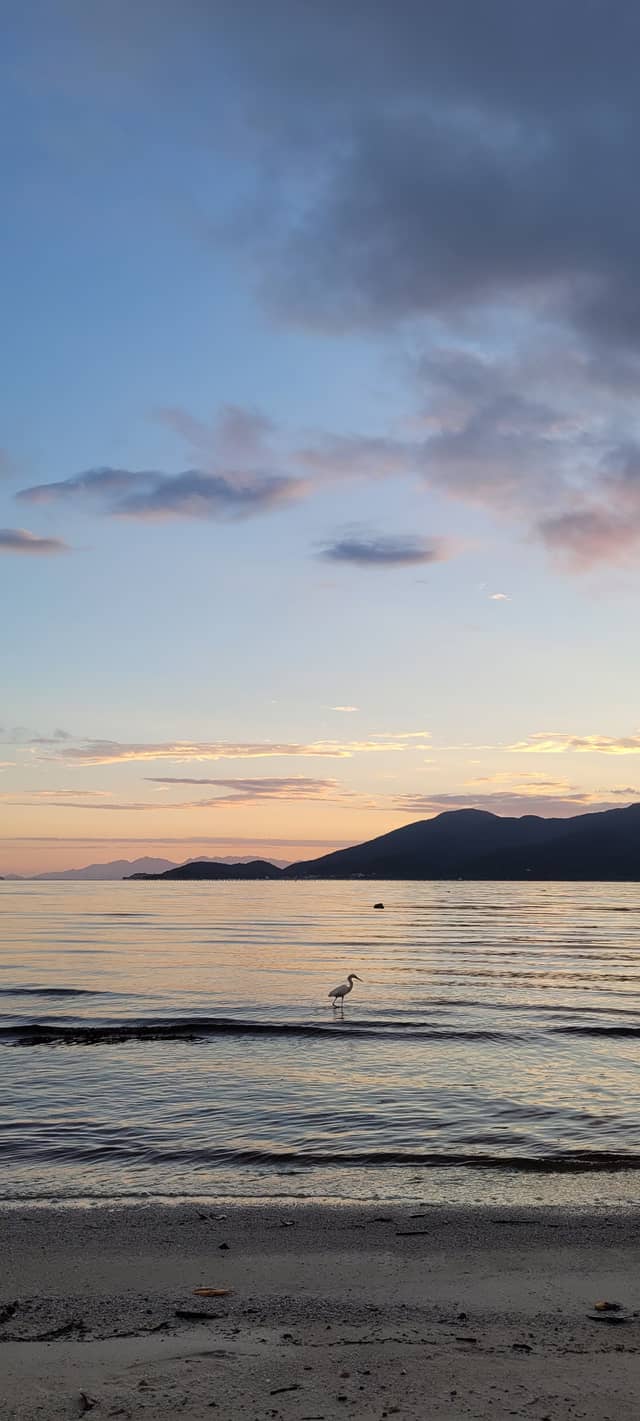 Praia de Ganchos de Fora - Image 1