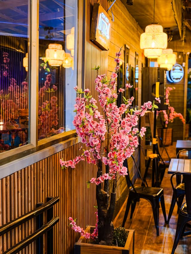 Cerveza Austral Lounge - Image 1