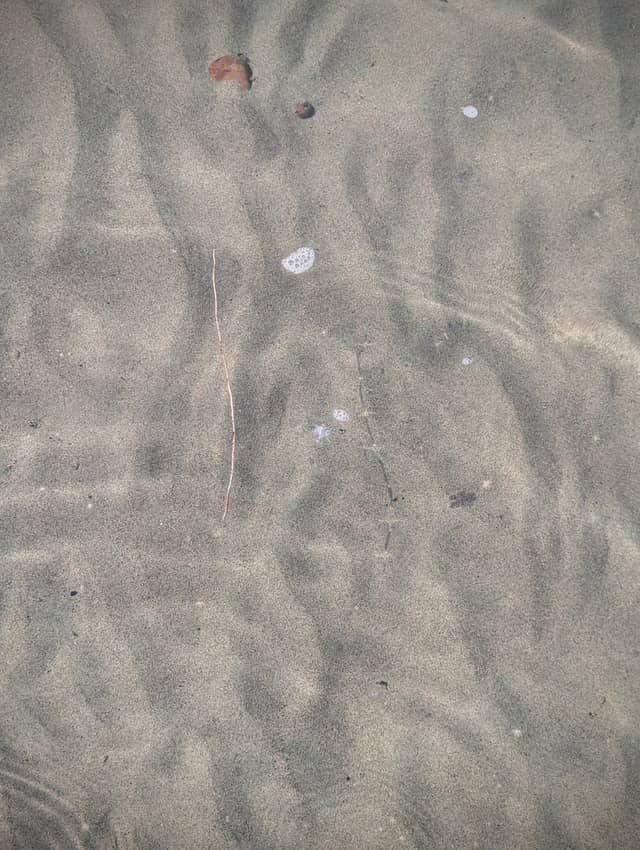 Lake Sakakawea Shoreline - Image 1