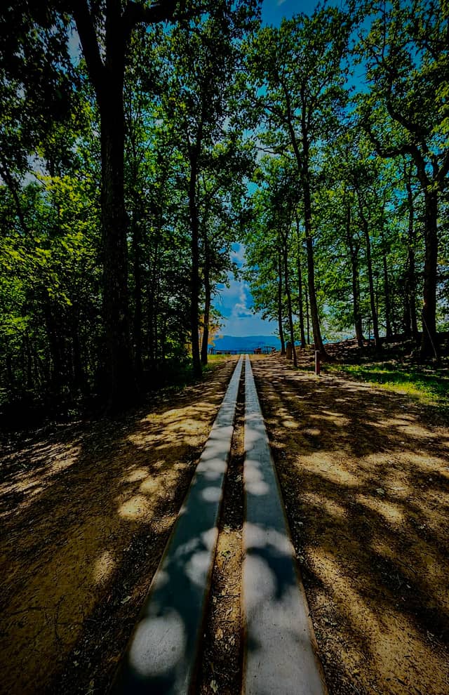 Semois Valley Forest Viewpoint - Image 1