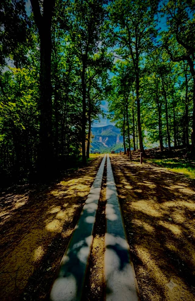 Forest Path Mountain Vista - Image 1