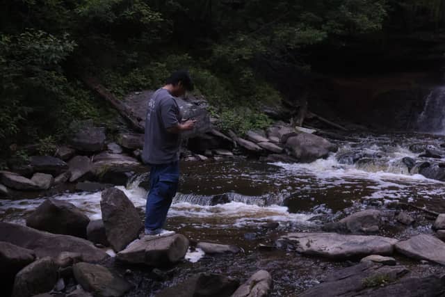 Webster's Falls - Image 1