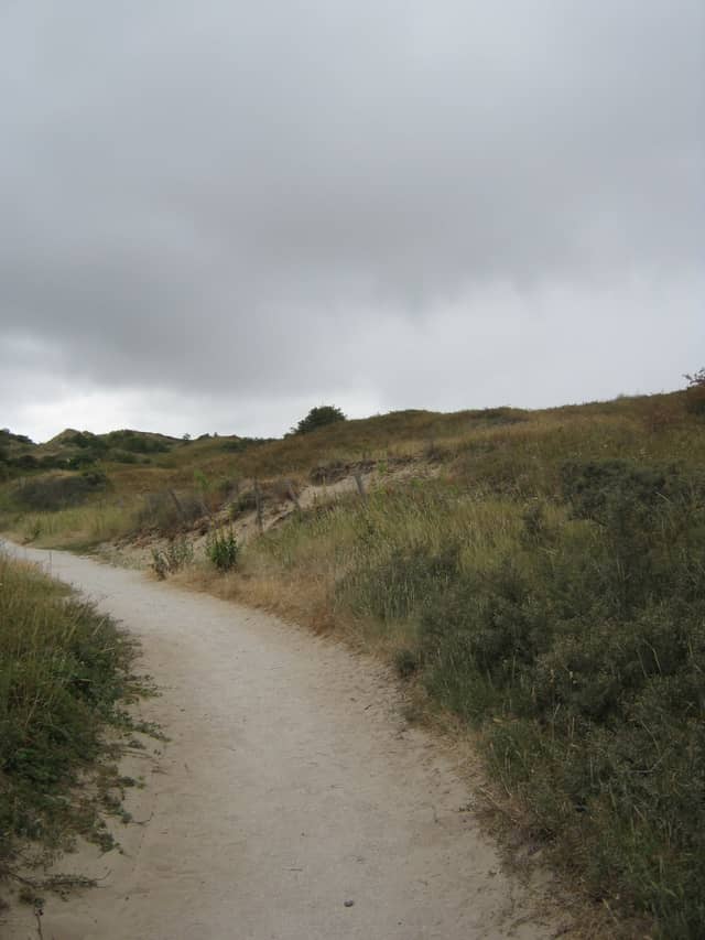 Berkheide Dunes Path - Image 1