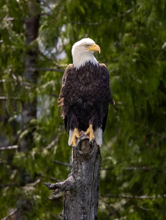 Ketchikan Waterfront - Image 1