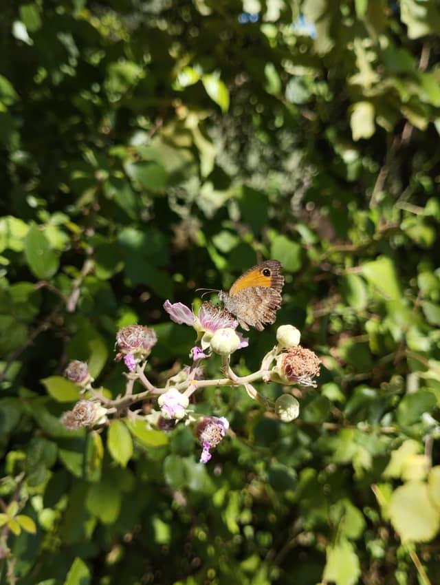 Nisa Countryside Nature Trail - Image 1