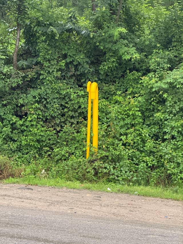 Yellow Utility Pipe in Lush Greenery - Image 1