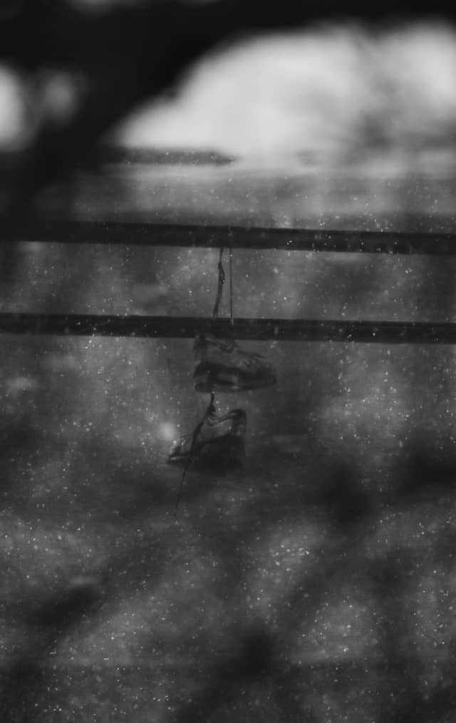 Elizabeth Suburban Textures - Image 1