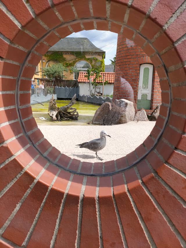 Schwanstetten Miniature Garden - Image 1