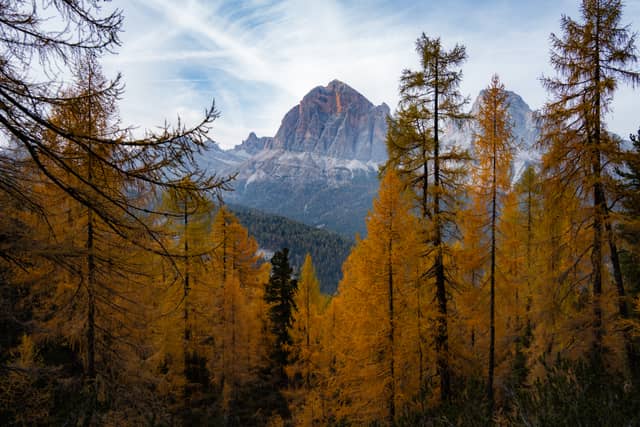 Monte Pelmo Viewpoint, San Vito di Cadore - Image 1