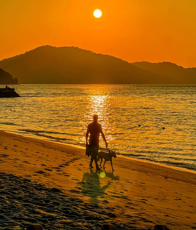 Batu Ferringhi Beach - Image 1