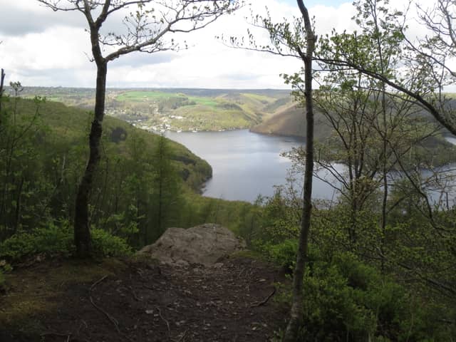 Hirschley Viewpoint, Rursee - Image 1
