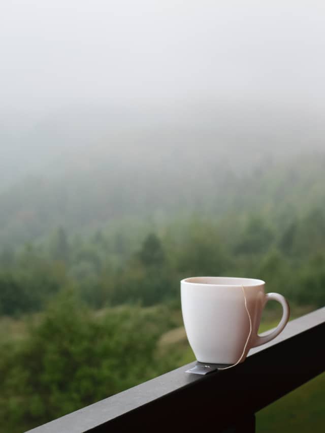 Slopovyi Mountain Overlook - Image 1