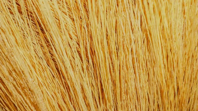 Walis Tambo Fiber Texture - Image 1