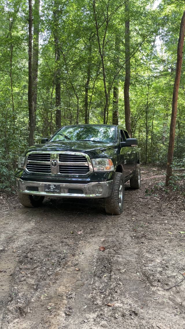 Talladega National Forest Trail - Image 1