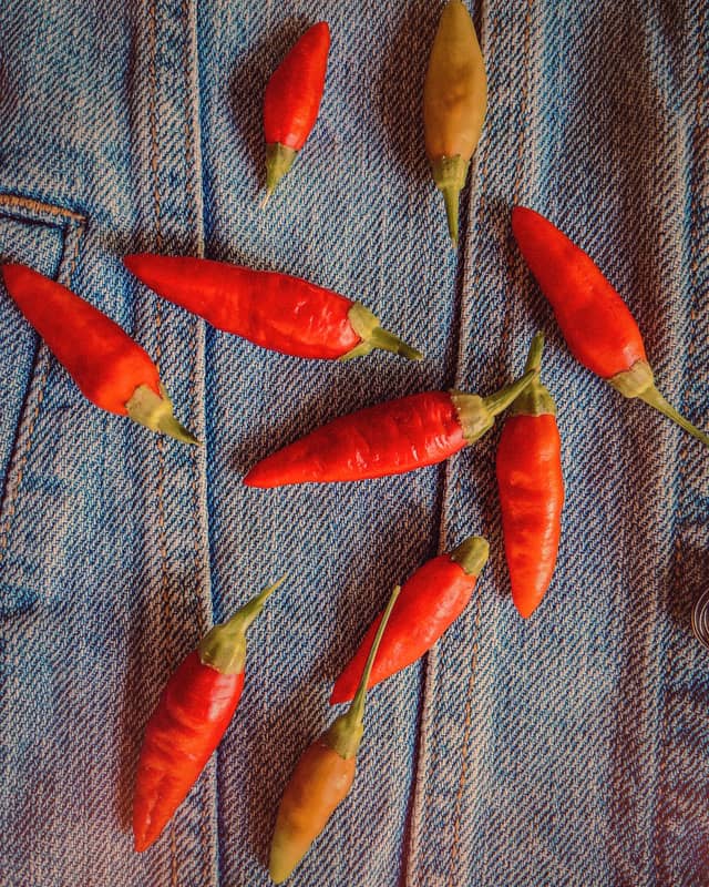Nicaraguan Chili Pepper Macro - Image 1