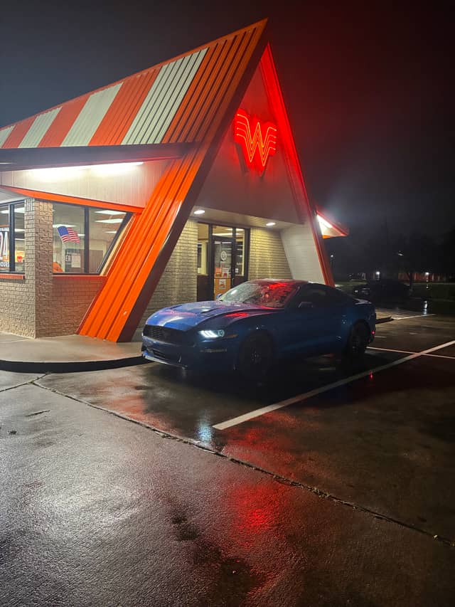 Whataburger Garland - Image 1