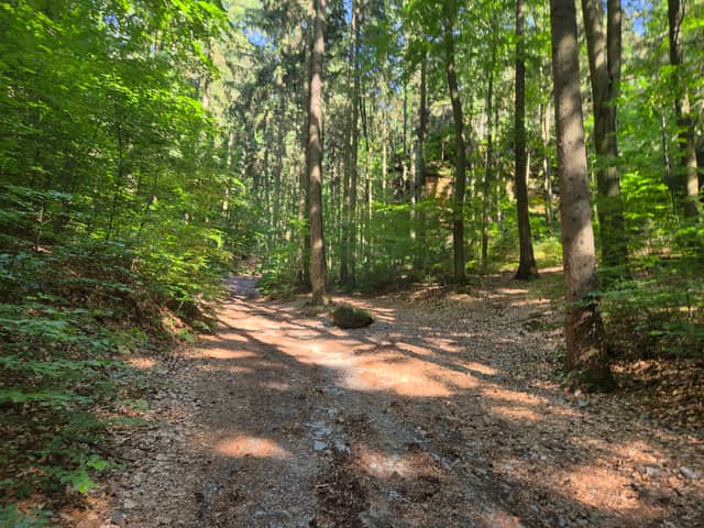 Lusatian Mountains Forest Trail - Image 1