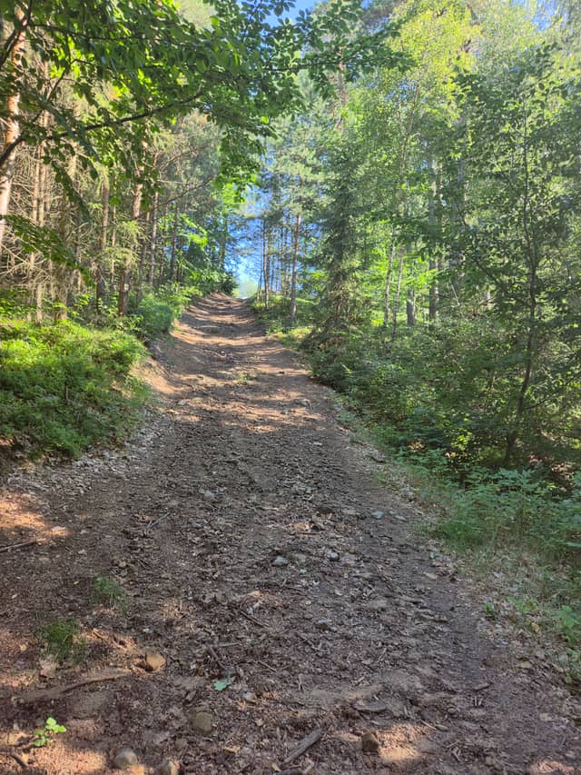 Lusatian Mountains Forest Trail - Image 1