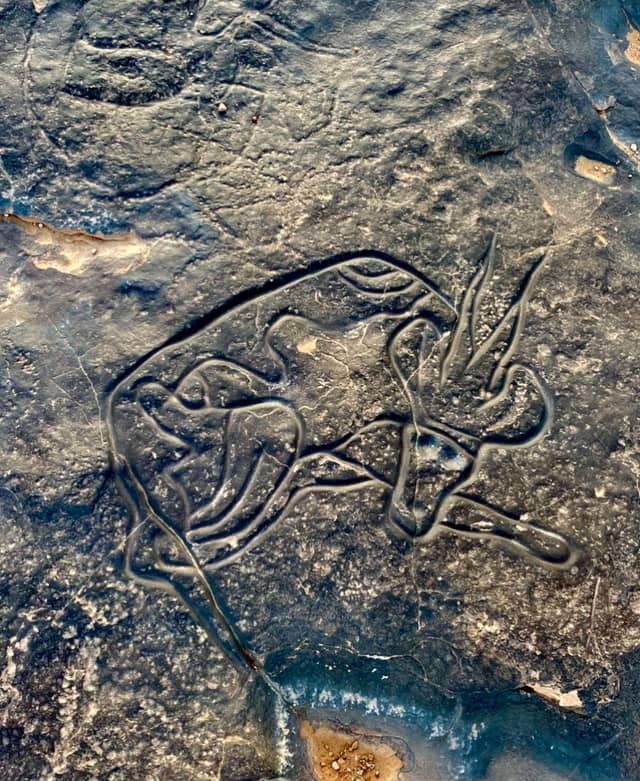 Bordj El Haoues Rock Art - Image 1