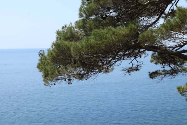 Via Krupp - Image 1