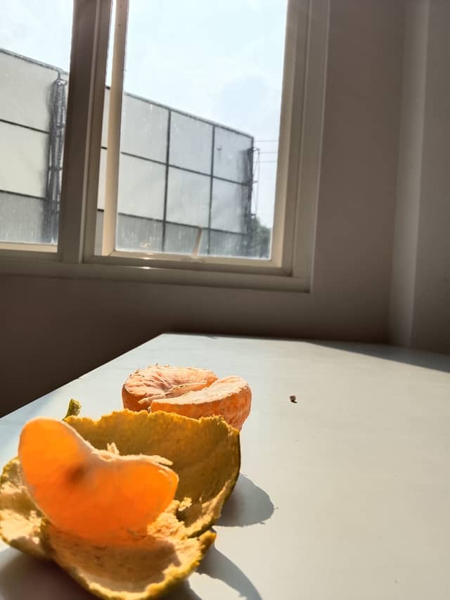 Windowside Still Life in Malang - Image 1