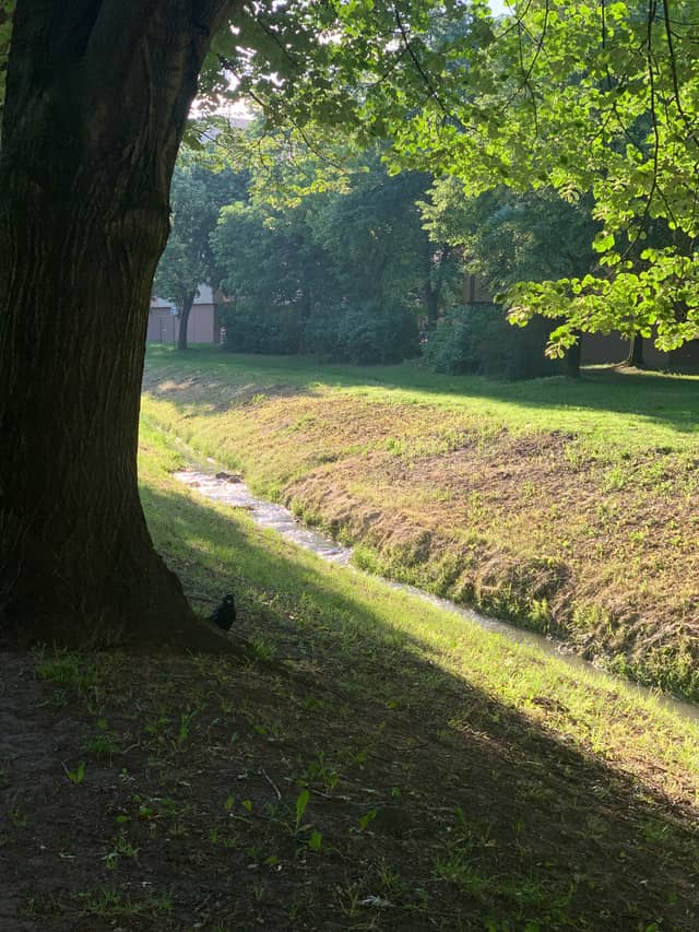 Torna Stream Park - Image 1