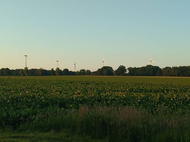 Neukirchen Wind Farm Fields - Image 1