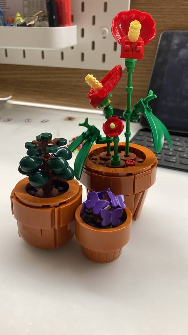LEGO Botanical Collection - Image 1