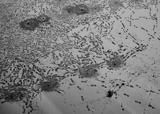 Mankivka Abstract Snow Patterns - Image 1