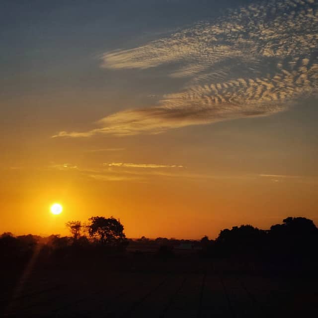 Jamnagar Sunset Horizon - Image 1