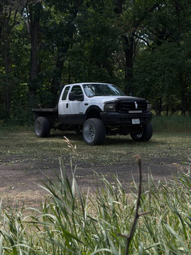Wooded Clearing in Christine - Image 1