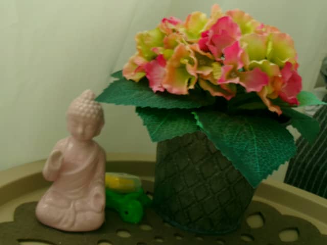 Indoor Still Life Arrangement - Image 1