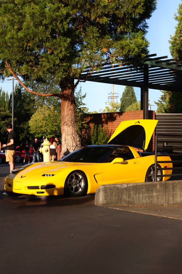 Tanasbourne Automotive Meet - Image 1
