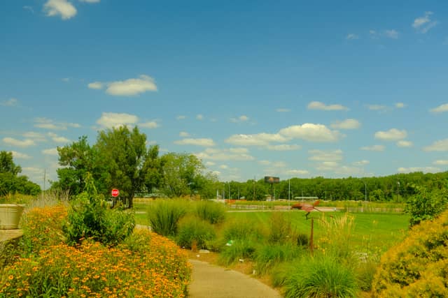 Wesselman Woods Nature Preserve - Image 1