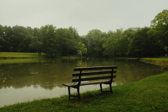 New Harmony Pond - Image 1
