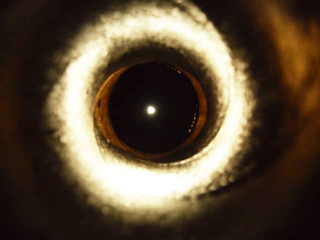 Macro Eye Detail - Image 1