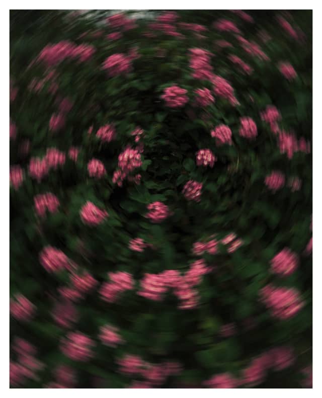 Chevella Countryside Blooms - Image 1