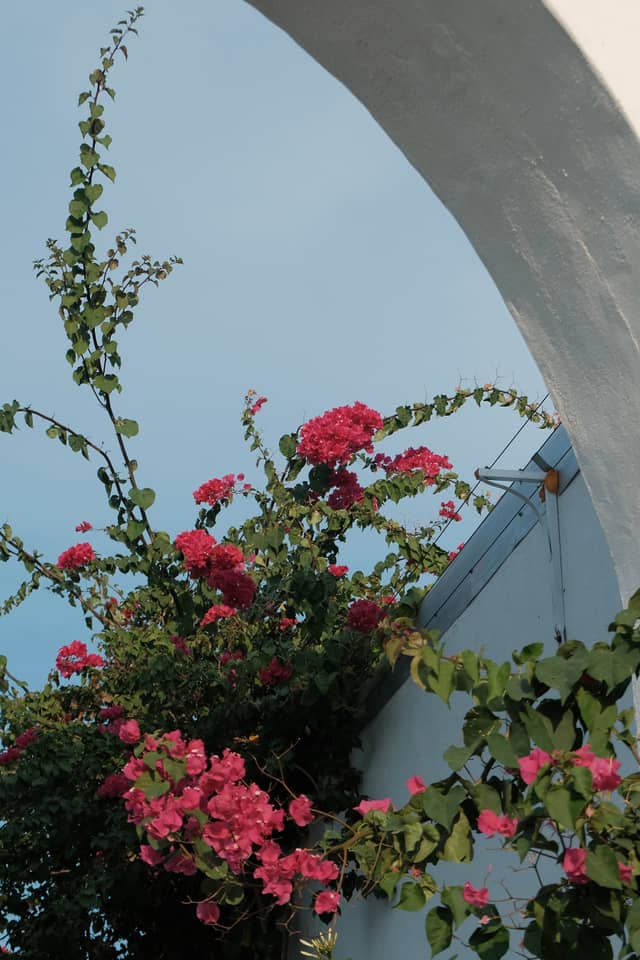 Coastal Garden Archway - Image 1