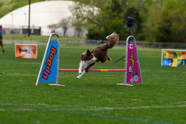 Jack Allen Recreation Complex - Image 1