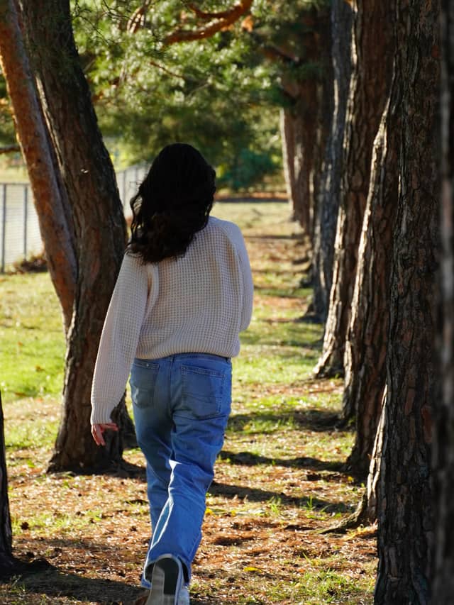 Pine Tree Path in Troy - Image 1
