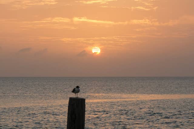 Laguna Madre Sunset Overlook - Image 1