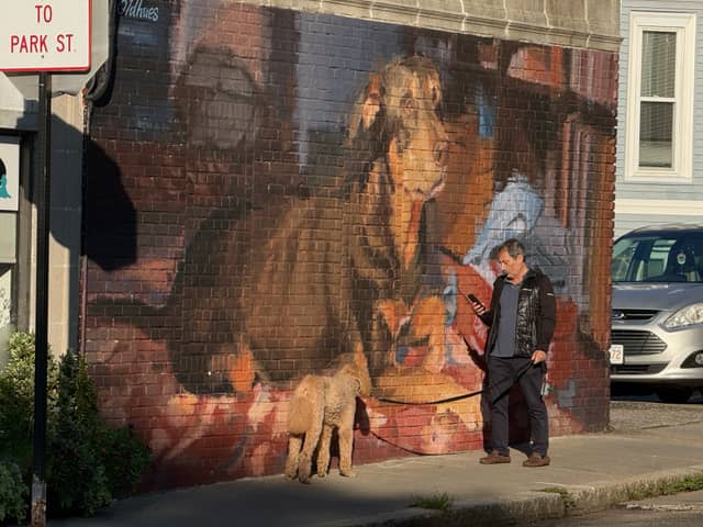 Brookline Dog Mural - Image 1