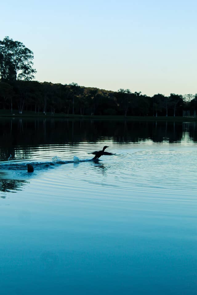 Tuiuti Lakeside - Image 1