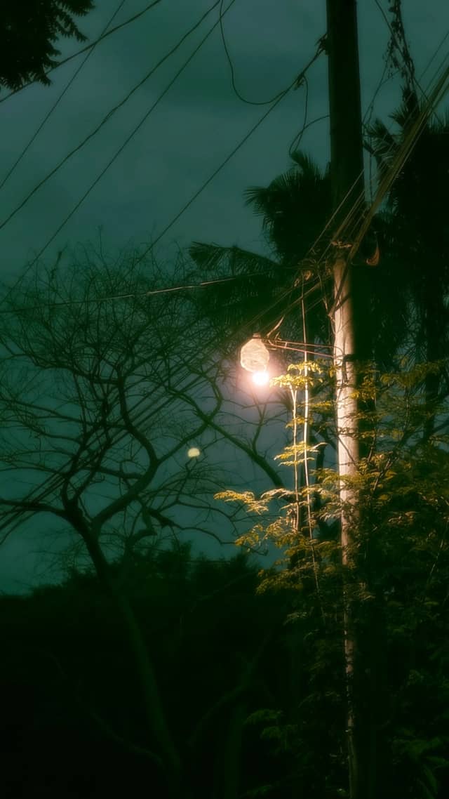 Lobo Night Streetscape - Image 1