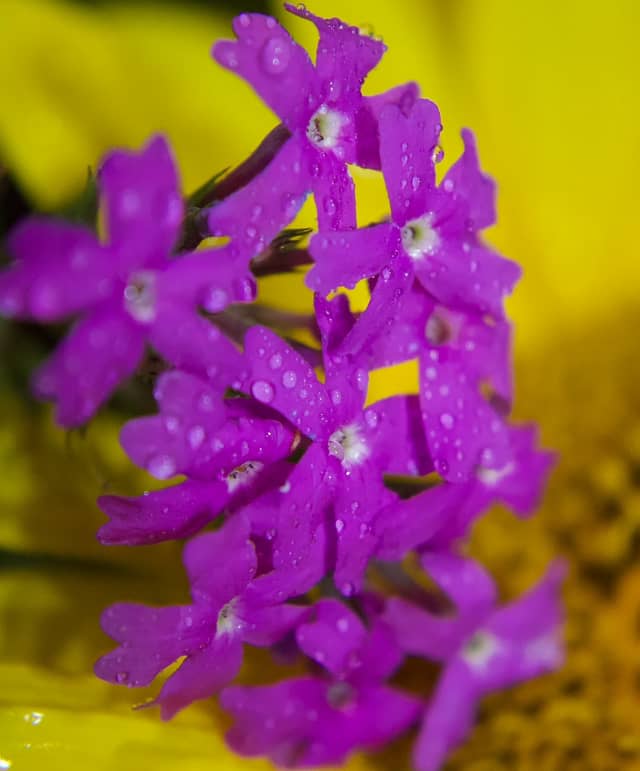 Alma Rural Nature Spot - Image 1
