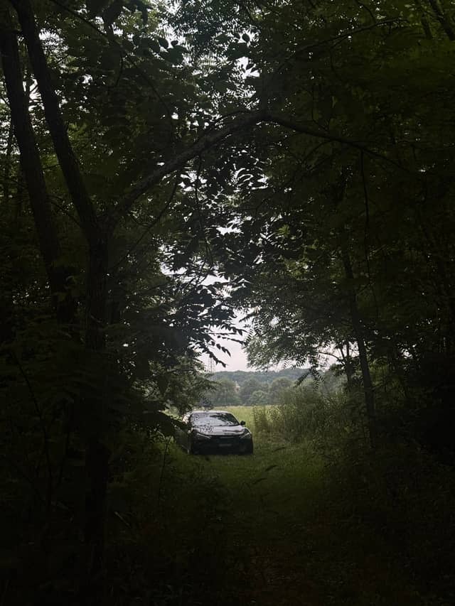 Bremen Forest Clearing - Image 1