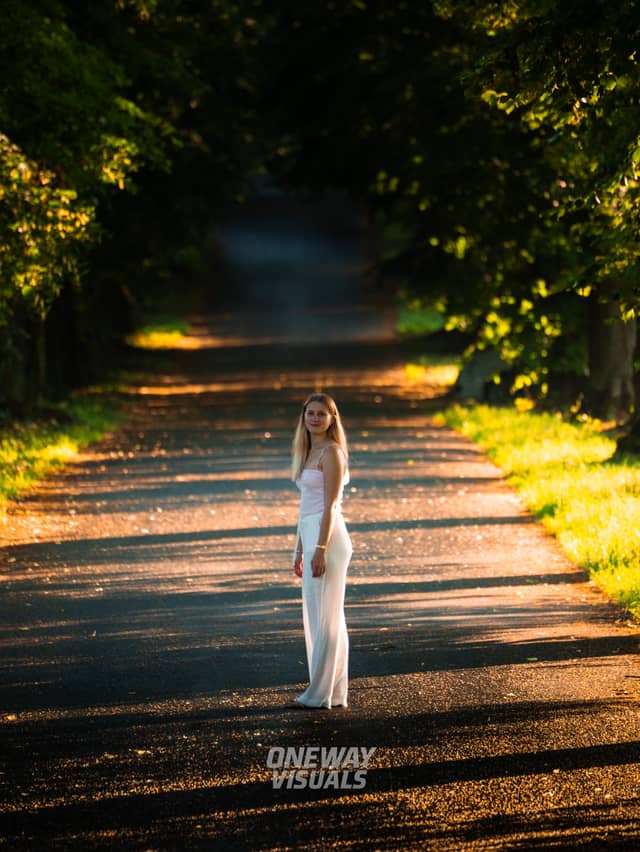 Tree-Lined Path in Weidenberg - Image 1