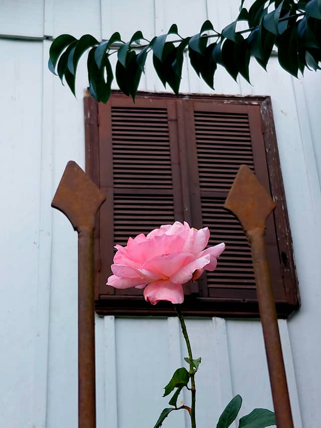 Rustic Garden Detail in Concórdia - Image 1