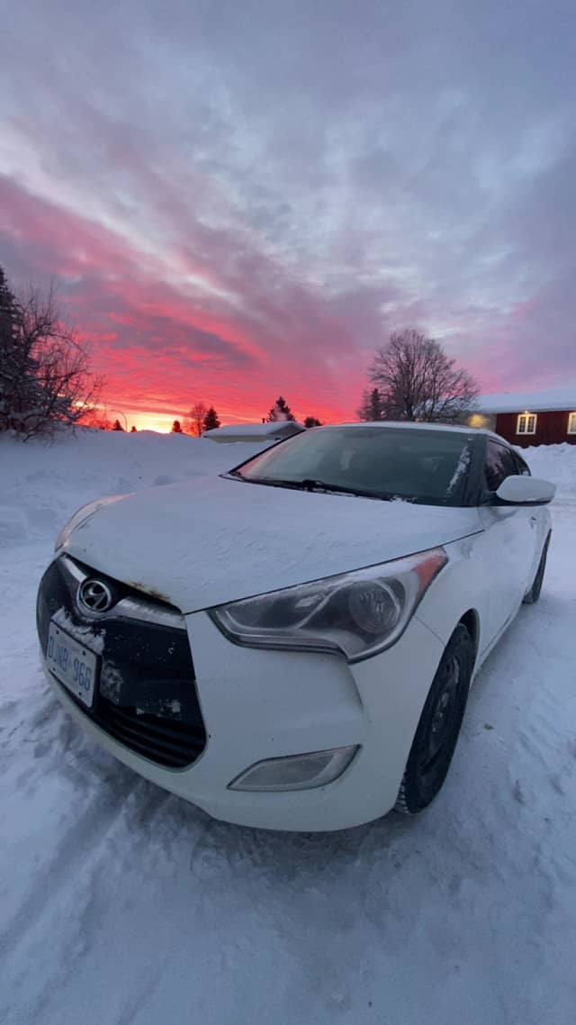 Porcupine Winter Sunset - Image 1