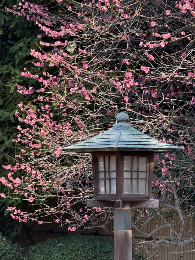 Setagaya Traditional Garden - Image 1